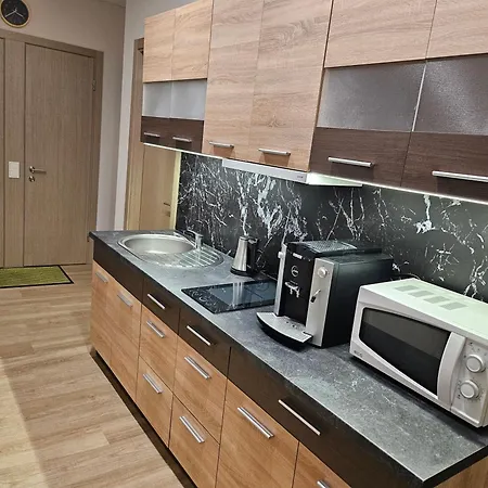 Lägenhet Kauno Apartamentai Big Bed Kaunas