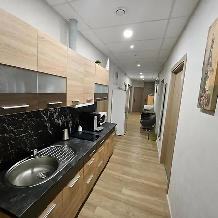 Lägenhet Kauno Apartamentai Big Bed *