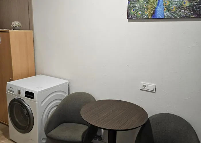 Kauno Apartamentai Big Bed Kaunas